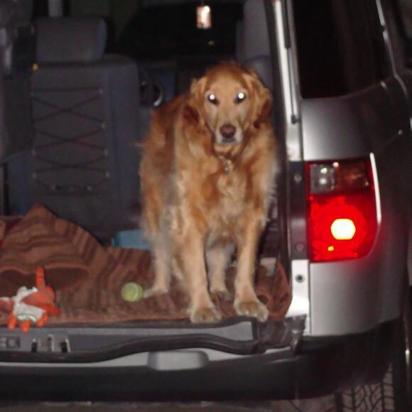 Candy goes to work with her dad.