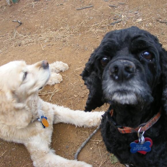 Look at that sweet face! As her sister pretends indifference to the camera.
