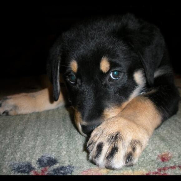 Baby Milo.