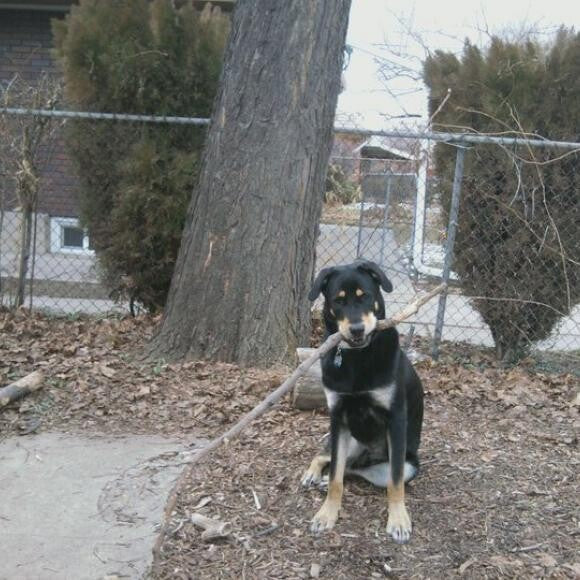 Happy boy!