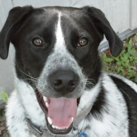 Mayhem's a happy boy!