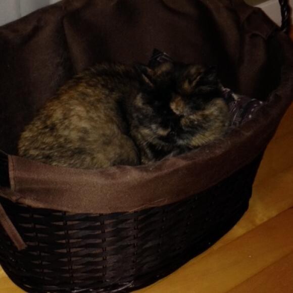 Honest I really do love my basket