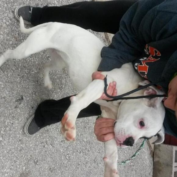 Little Miss Jada the day she was found scared half to death and all alone