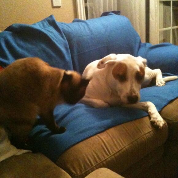 My Old Eddie