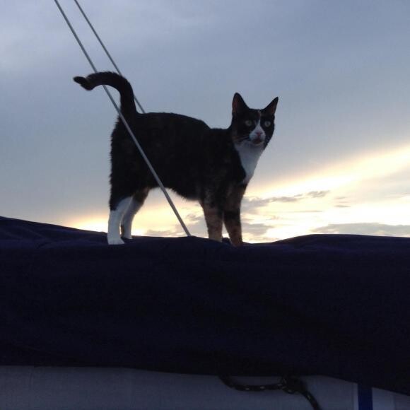 Alpha Girl atop the boom