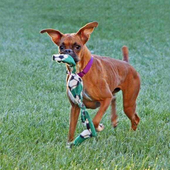 Bambi in October 2013