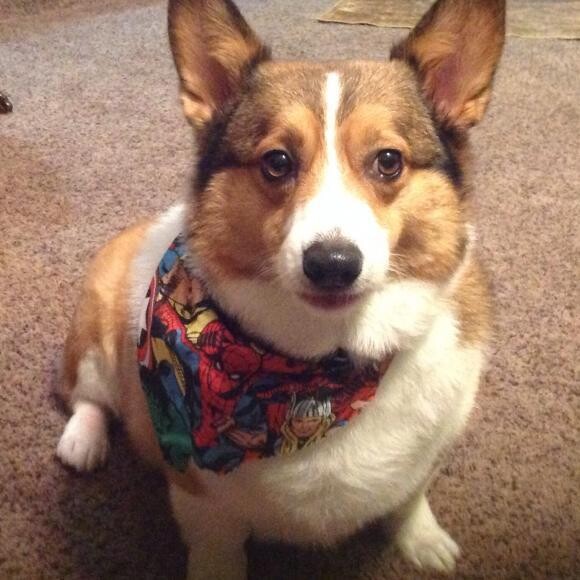 Max adores your products!