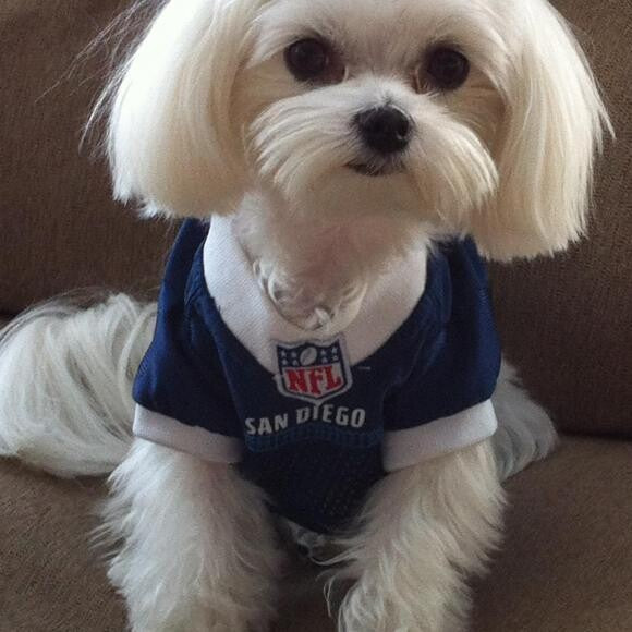 San Diego Chargers!