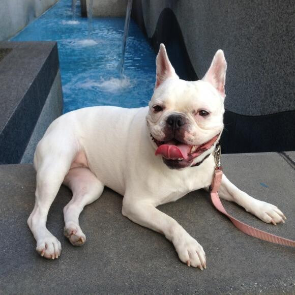 A brief rest at a fountain during a long summer walk
