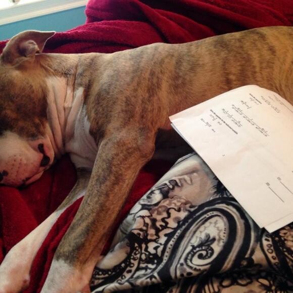 Mac hates math, too!