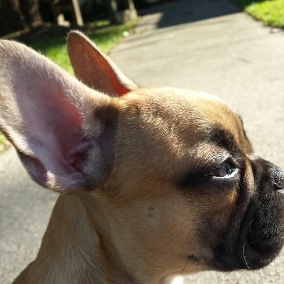 Relaxing in the sun!