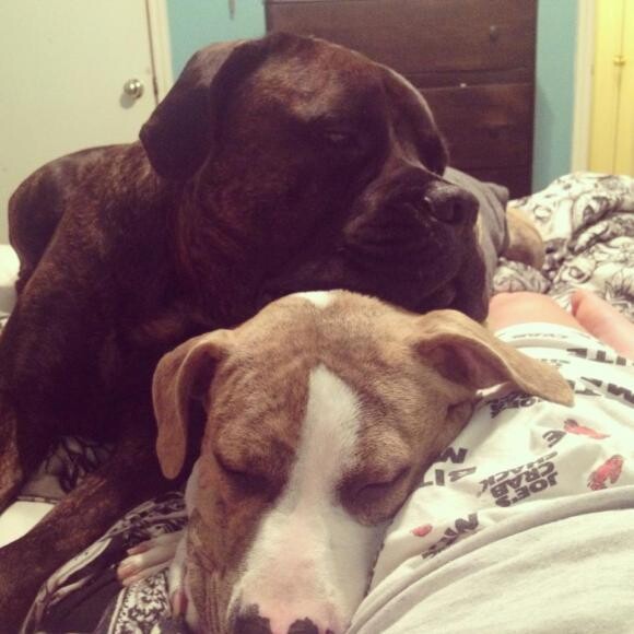 We LOVE THK :) & sleeping on Mommy!