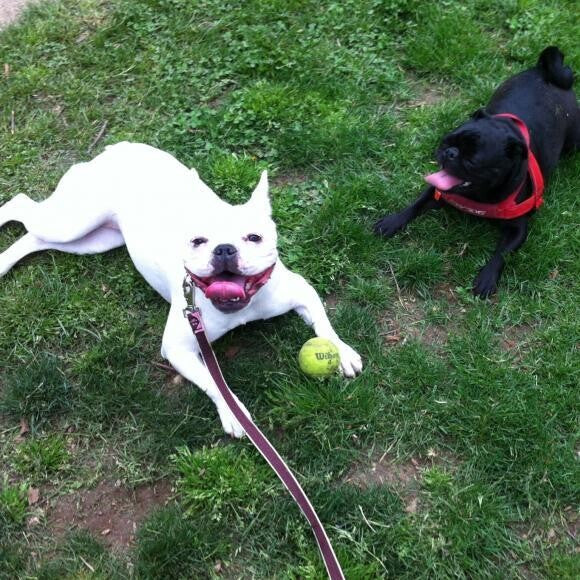 Minnie and her friend Zuzu