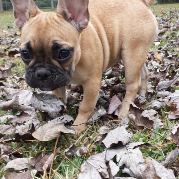 Penelope!