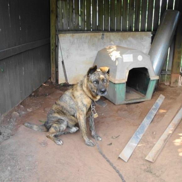 Before being rescued...