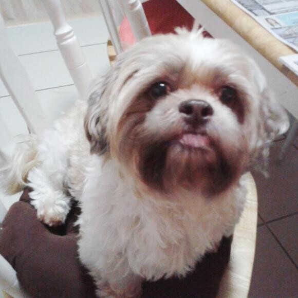 Toffee