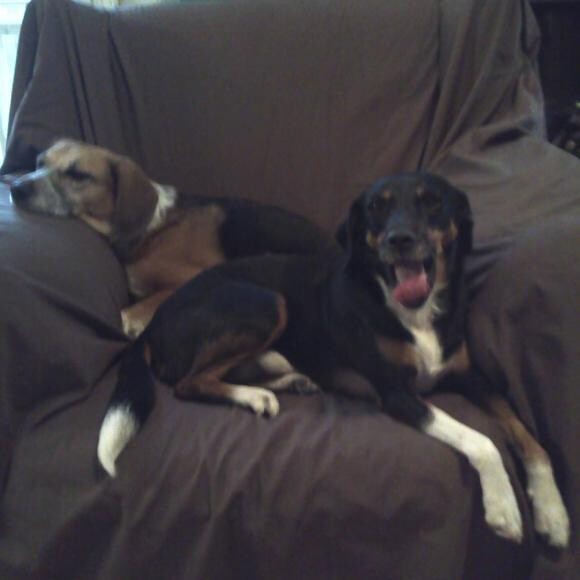 Daisy and Summer