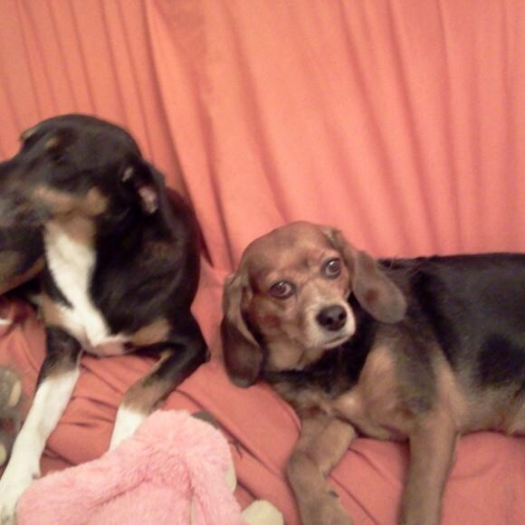 Sunmer and Lucy