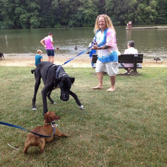 Making friends with a Great Dane this past summer!
