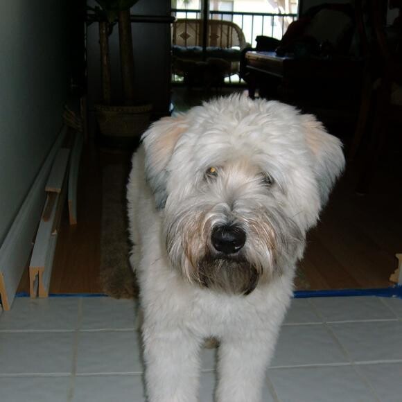 Our oldest boy!