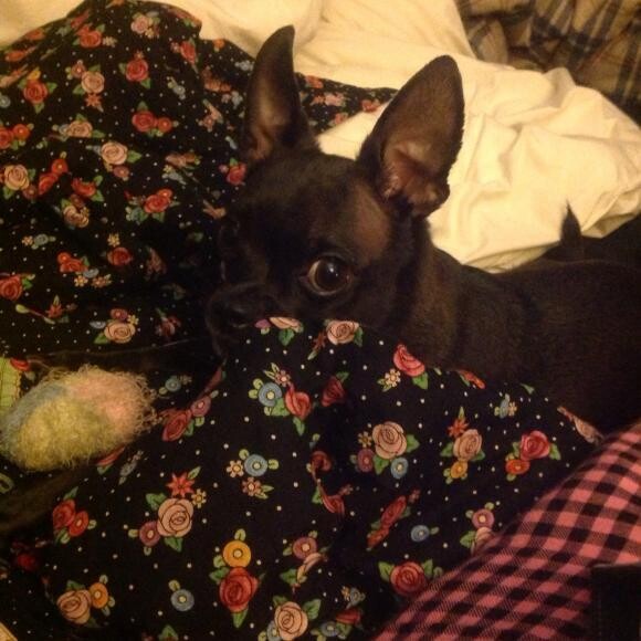 Bailey