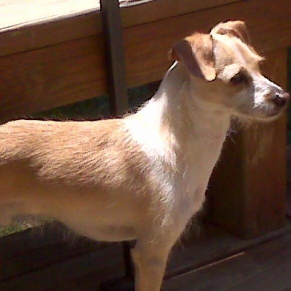 Liam before his illness' took hold our little skinny Minnie with great hair.