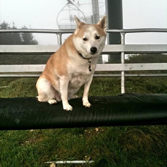 Posing on the chair lift