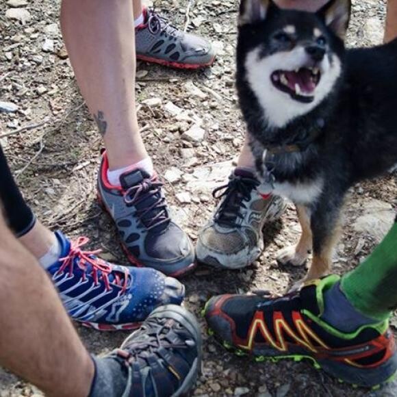 Jax is happiest running trails in the Green Mountains!
