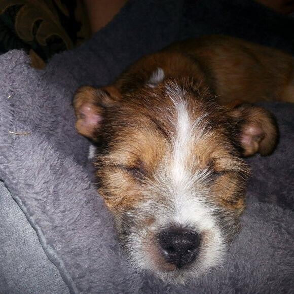 Nap time :)