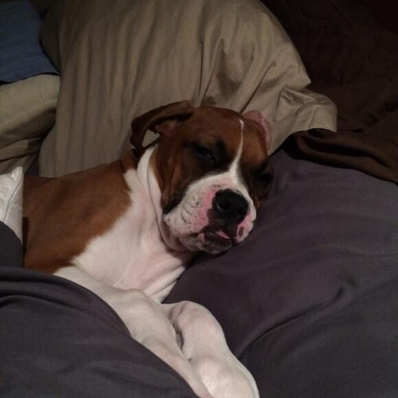 I moved, and so did she!