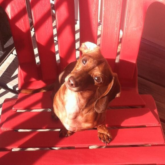 What'd you say!?