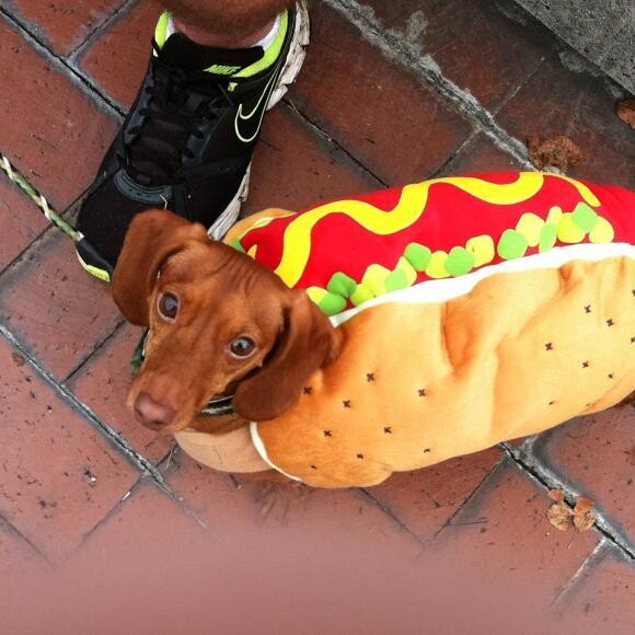 Hot Dog!