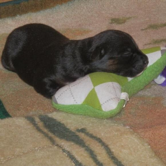 Edith Ann at two weeks old.