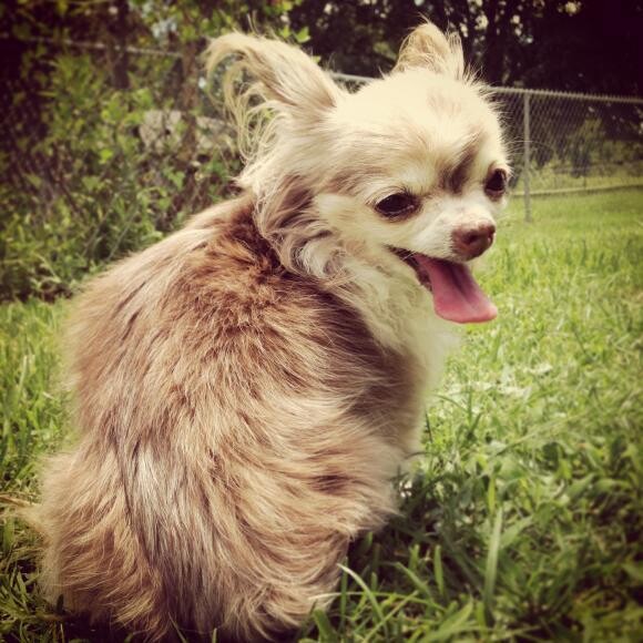Soaking up some rays outside of the vet clinic.