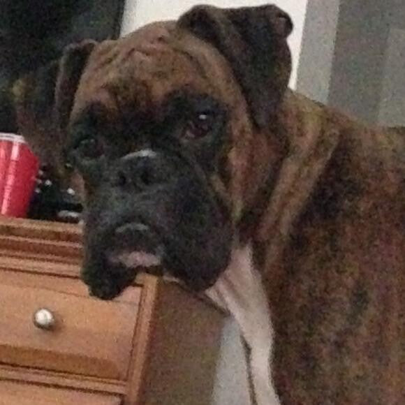 Mom? Why aren't you making my Force? Mom? Mom?