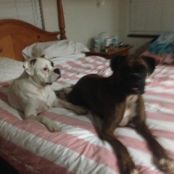 Finn and Maggie (Yin and Yang)