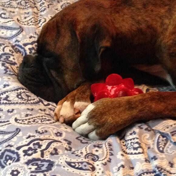 I love to find them sleeping with their toys, it's so joyful.