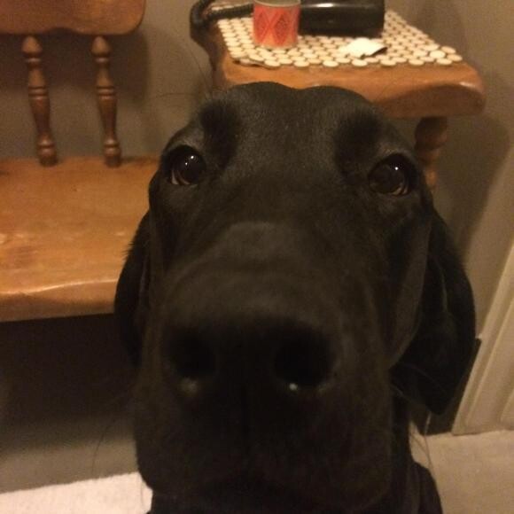 Sally chillin with her big nose.