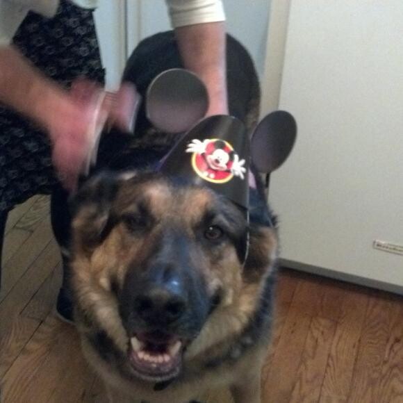 Party at Grandma's House!