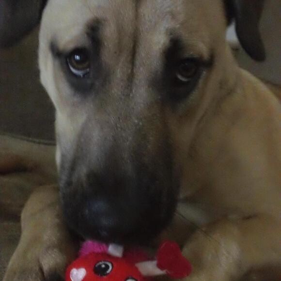 My little valentine
