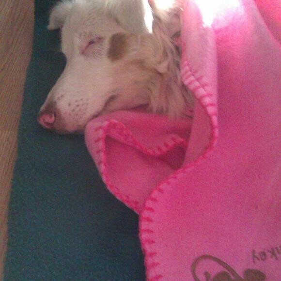 Her first day home, after surgery.