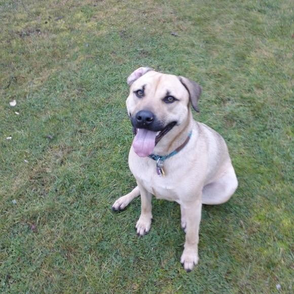 All grown up and happy after a rousing game of bubbles.