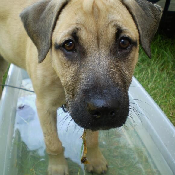 her first time playing in water