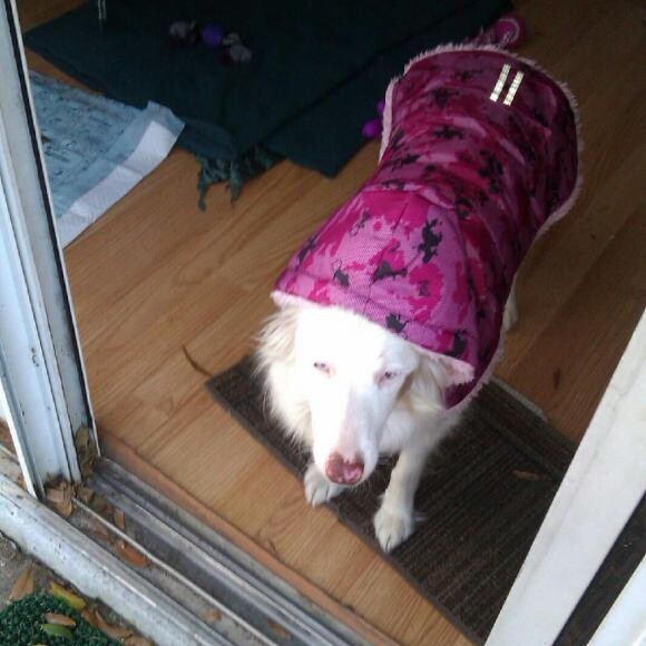 Pretty in Pink!!
