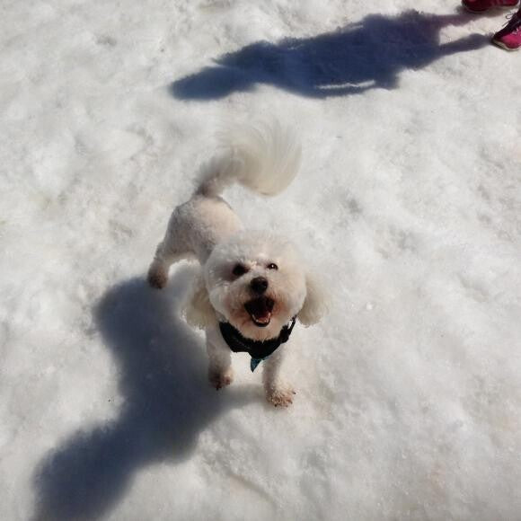 Happy Boy!