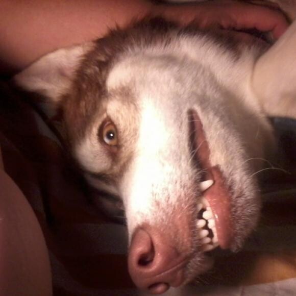 cheeeeeese!