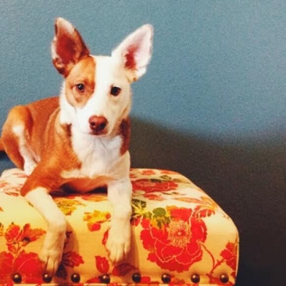Ruby loves to model!