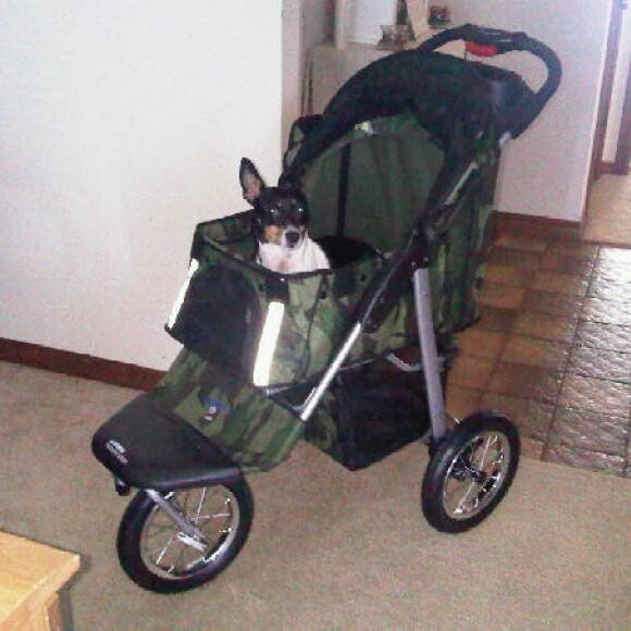 He only needs this to get away from his sisters now. LOL!