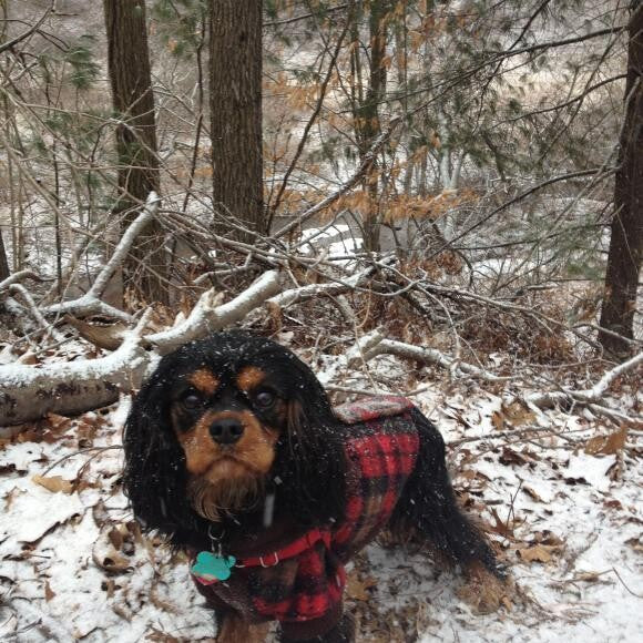 Tucker