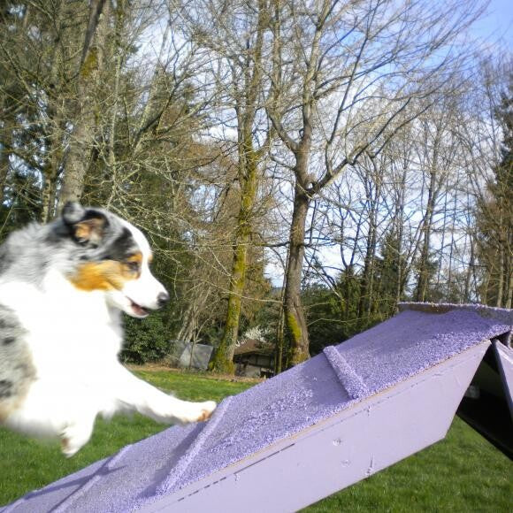 Sparrow on the A-Frame